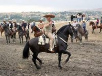 /album/fotogaleria/a33-espa-jpg/